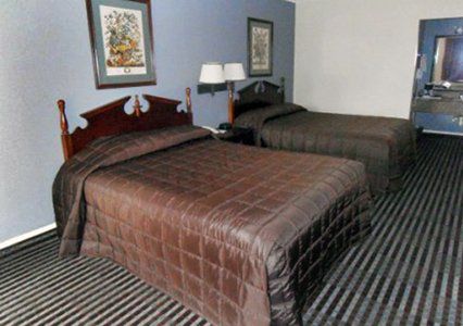 Loyalty Inn Gainesville Rum bild